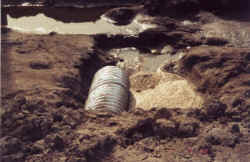  Hogwatch Manitoba -- Used with permission