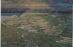  Hogwatch Manitoba -- Used with Permission